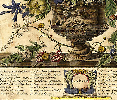 detail