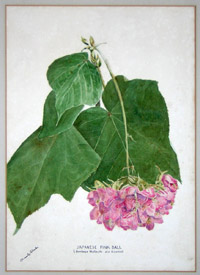 Blake Flowers