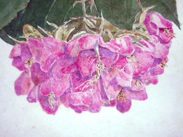 Blake Flowers