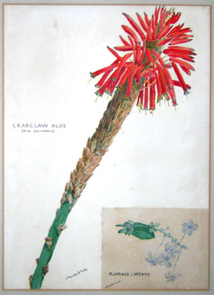 Blake Flowers