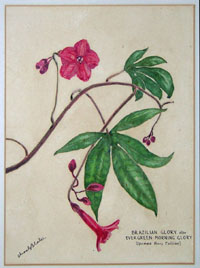 Blake Flowers