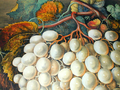 detail