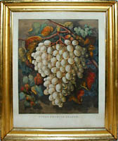 detail: framed