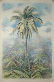 Hartmann Palm