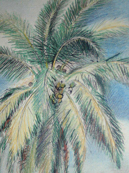 Palm Detail