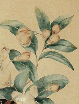 detail