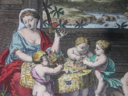 Merian Frontispiece