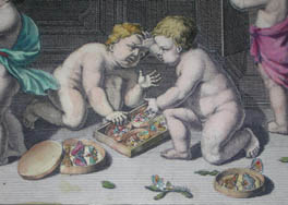 Merian Frontispiece