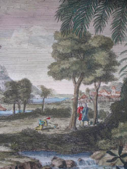Merian Frontispiece