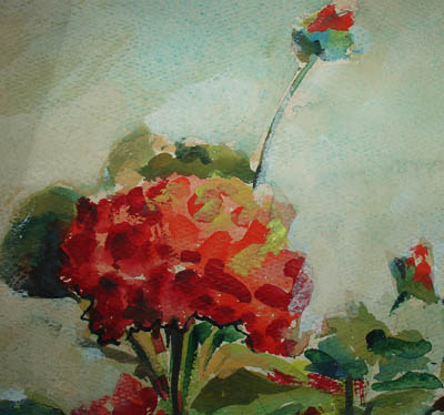 Ruth Leaf Geraniums