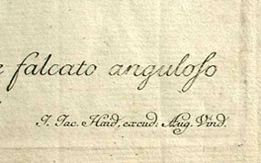 detail: engraved name