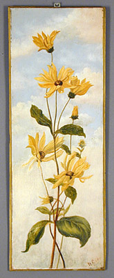 Summer Wildflowers