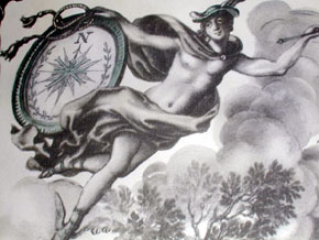detail