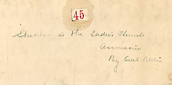 detail, back