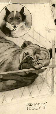 detail