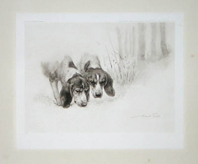 Maud Earl British Hounds and Gun Dogs