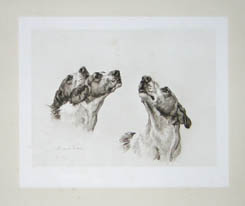 Maud Earl British Hounds and Gun Dogs