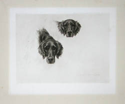 Maud Earl British Hounds and Gun Dogs