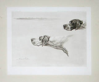 Maud Earl British Hounds and Gun Dogs