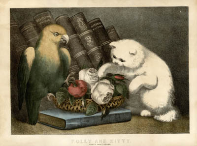 Parrot and Cat