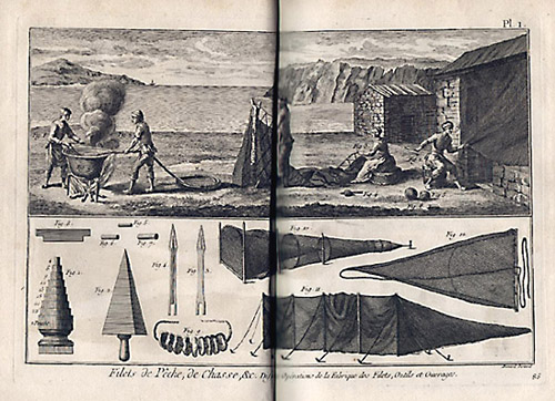 Plate 1