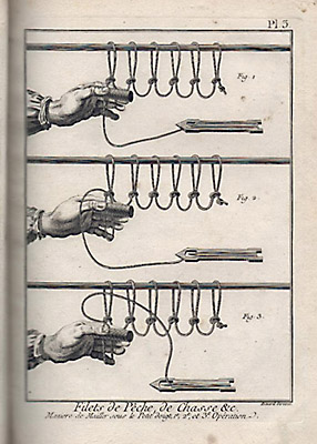 Plate 3
