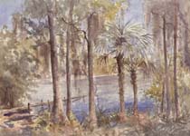 Blue Springs