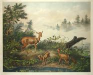 J.F. Cropse, 1863