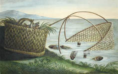 Basket of Fish