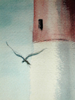Gull detail