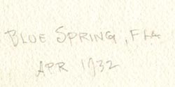 Brunner Blue Spring