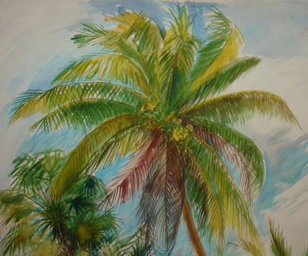 Beach Dunes