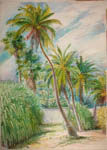 Key West