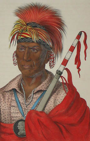 Tah-ro-hon, An Ioway Warrior