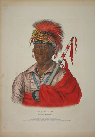 Tah-ro-hon, An Ioway Warrior