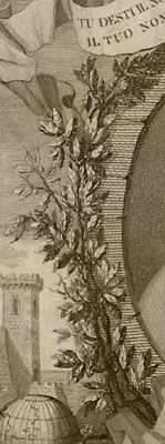 detail
