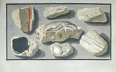Pair of Mineral Studies