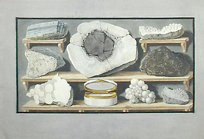 Pair of Mineral Studies