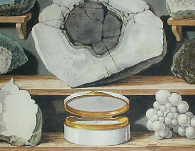 detail