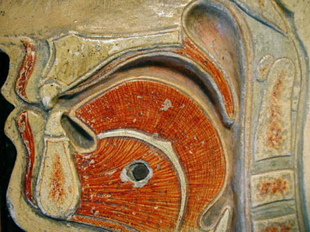 Detail