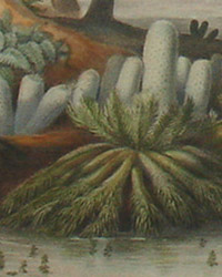 Detail of Plate 1