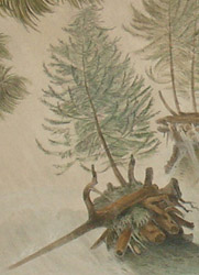 Detail of Plate 2