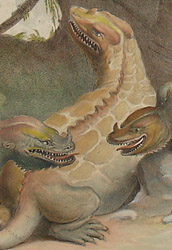 Detail of Plate 9