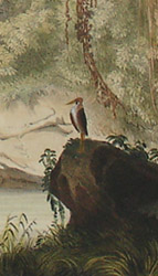 Detail of Plate 11