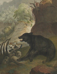Detail of Plate 13