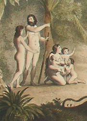 Detail of Plate 14
