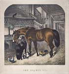 The Stable, No. 1 & No. 2