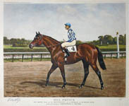 Hill Prince, Racehorse Portrait