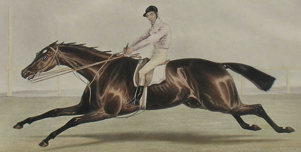 Detail of Conolly on Coronation