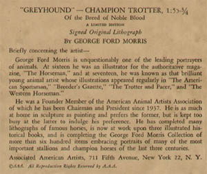 Greyhound